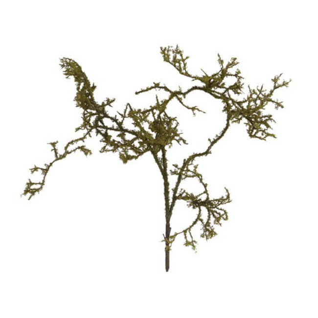 Countryfield Kunst tak Frangula Sphagnum bruin-L100B23H9CM