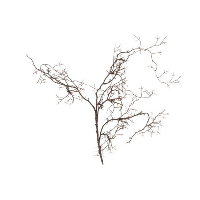 Countryfield # Kunst tak Frangula bruin-L110B20H12CM