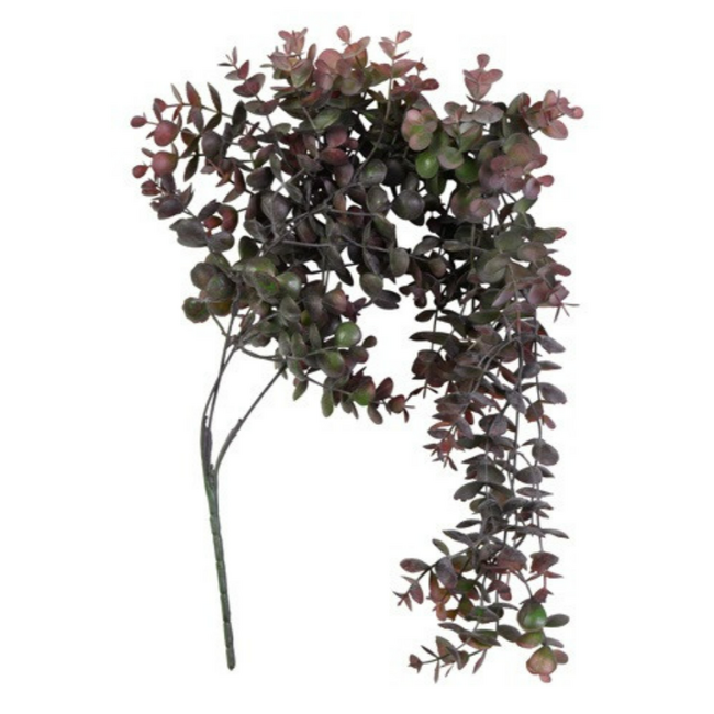 Countryfield # Kunst plant steker/hang Eucalypthus bruin-L10B15H75CM