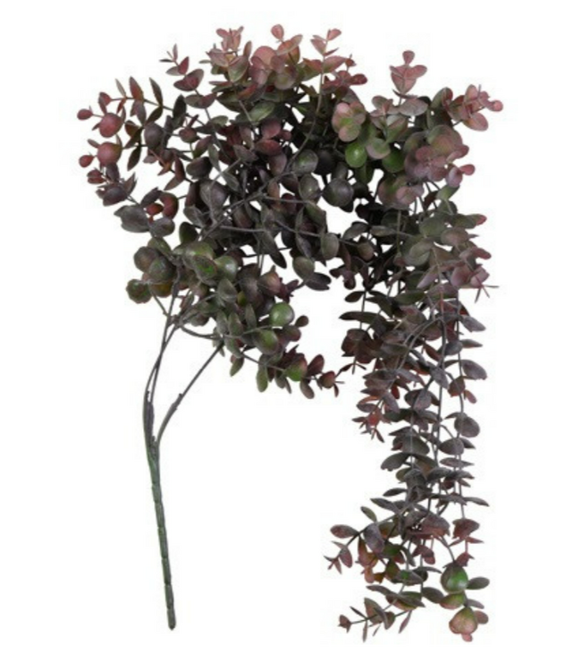 Countryfield Kunst plant steker/hang Eucalypthus bruin-L10B15H75CM