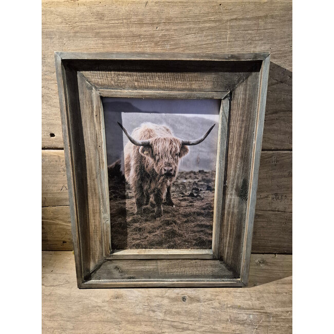 Houten lijst - 30 x 39 cm - afbeelding schotse hooglander 2