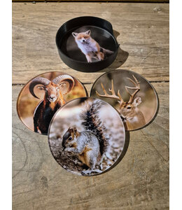 @ 000 - Set van 4 onderzetters plexiglas - Wilde dieren - 10 cm