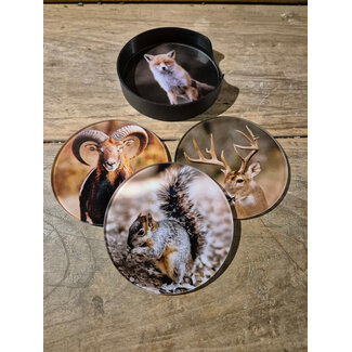 # 000 - Set van 4 onderzetters plexiglas - Wilde dieren - 10 cm