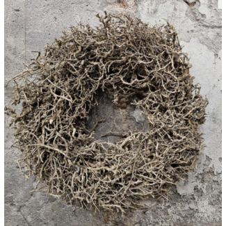 ## wordt niet verzonden - Desert bush naturel 50cm