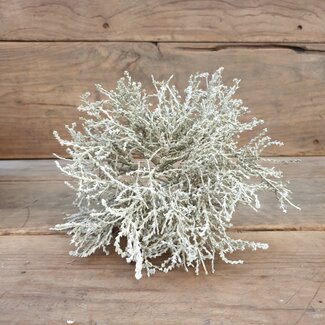 # Zilverstruikje - imitatie - 25 cm