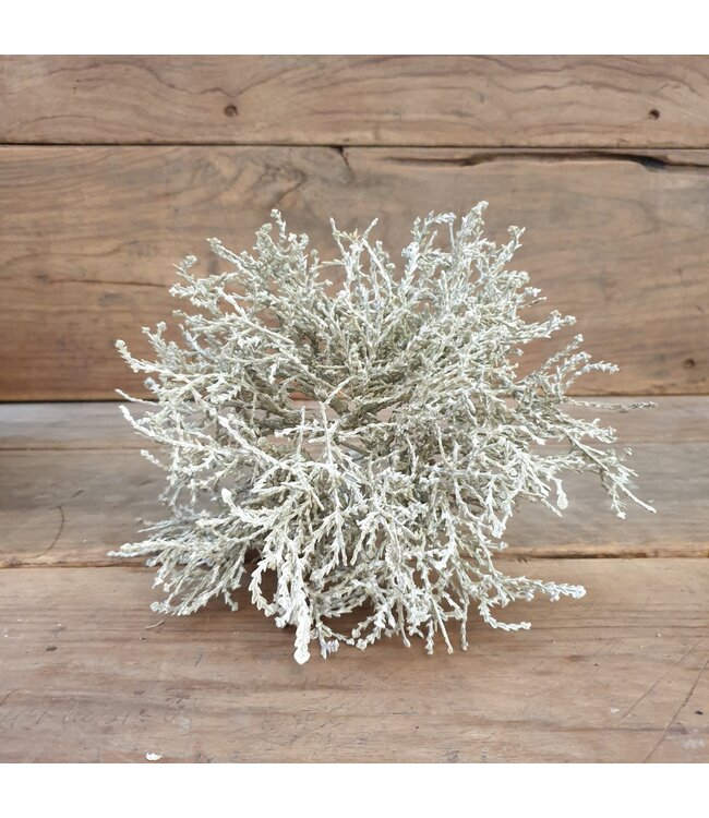 # Zilverstruikje - imitatie - 25 cm