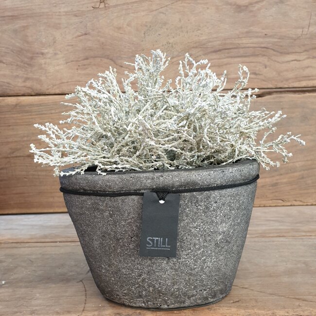 # Zilverstruikje - imitatie - 25 cm