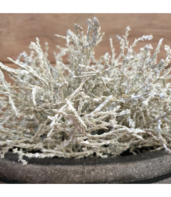 # Zilverstruikje - imitatie - 25 cm