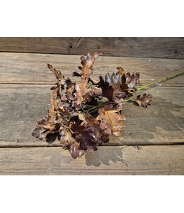 @ Oak leaf spray - donkerbruin - 80 cm