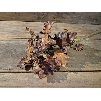 # Oak leaf spray - donkerbruin - 80 cm