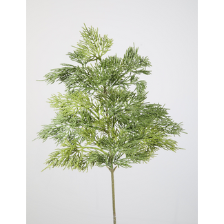 # Cedar Spray 50cm