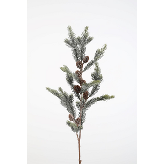 # Cedar Seeds Stem 86cm