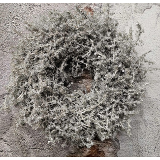 Asparagus wreath white 28cm