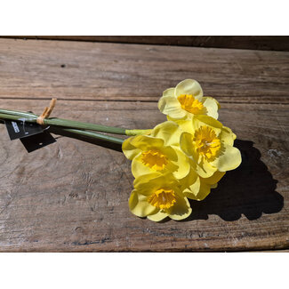 Countryfield # Kunst bundel narcissus 3 x geel