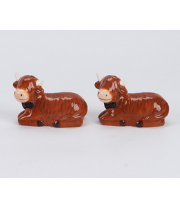 Peper en zoutstel highland cow