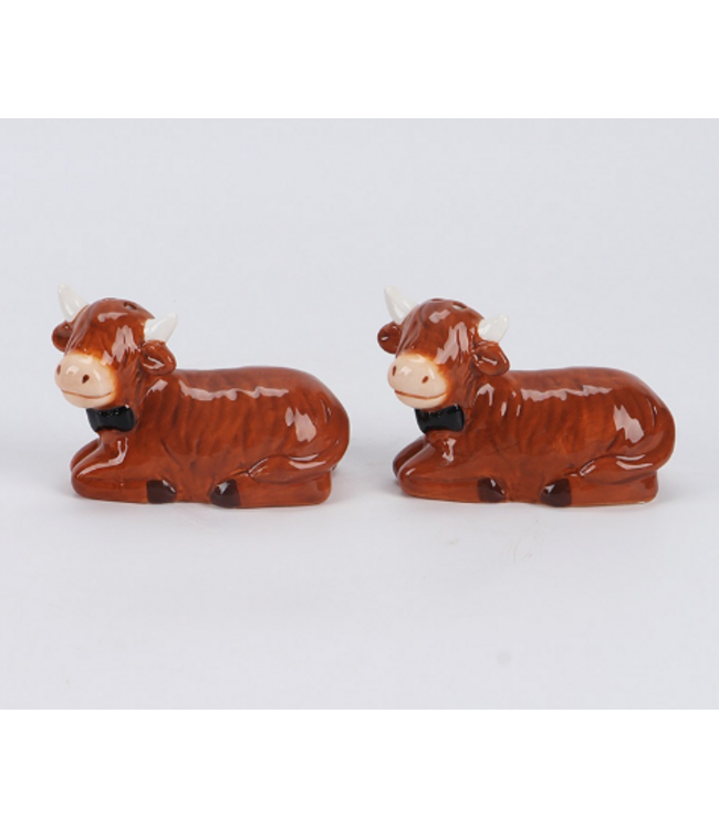 # Peper en zoutstel highland cow