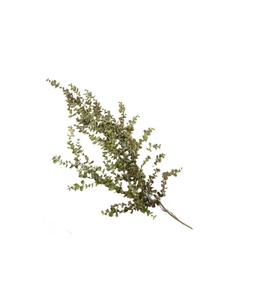 Kunsttak eucalyptus hangend groen - 95x40x15cm