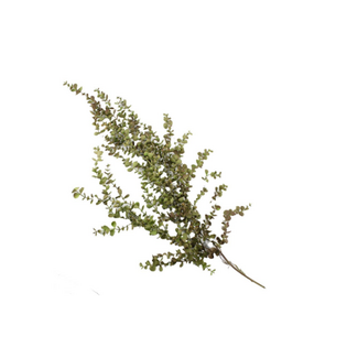 Kunsttak eucalyptus hangend groen - 95x40x15cm