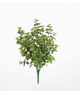 # Bush Tears 34cm
