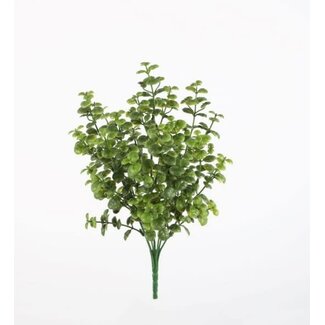 Bush Tears 34cm