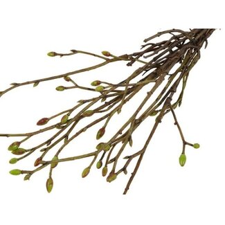 Countryfield Kunst bundel Tilia 3x groen-L42B15H5CM