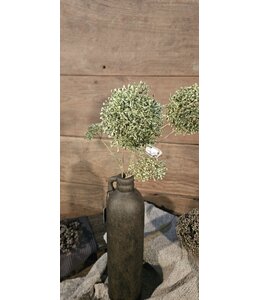 Countryfield # Viburnum S groen-L7B7H87CM - kunst