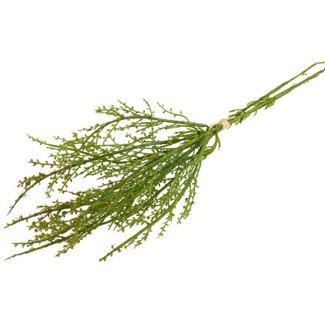 Countryfield Kunst bundel Betula liguster 3x groen-L5B15H42CM