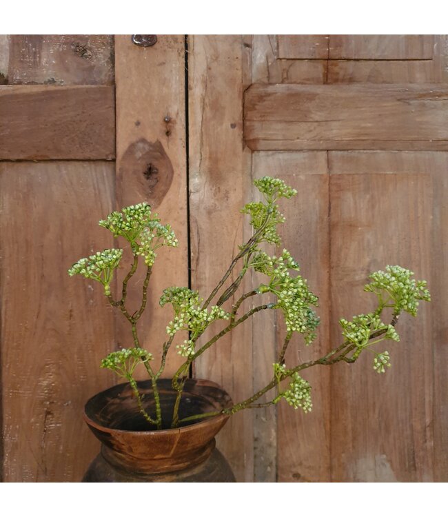 # E333 - berry spray/groen 70 cm