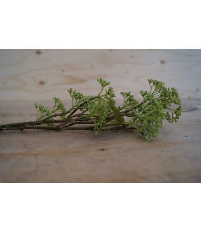 # E333 - berry spray/groen 70 cm