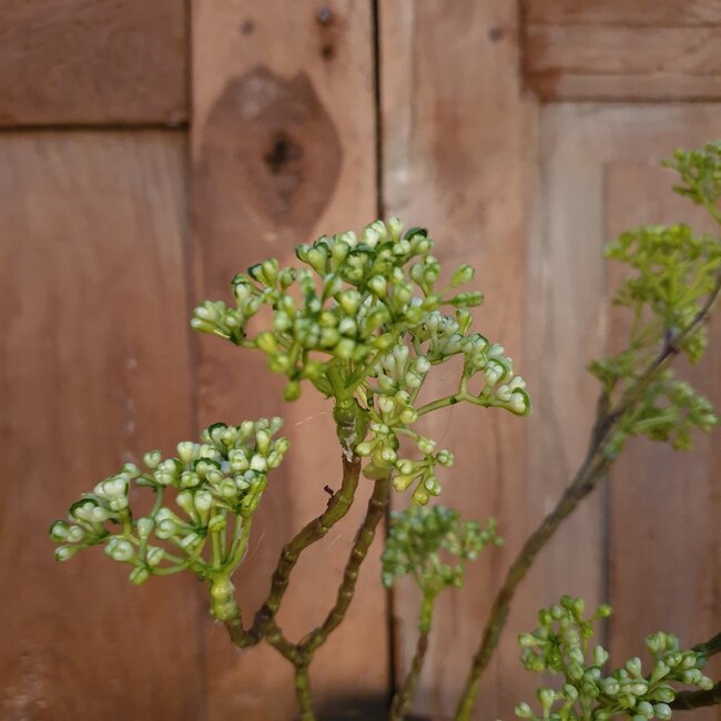 E333 - berry spray/groen 70 cm