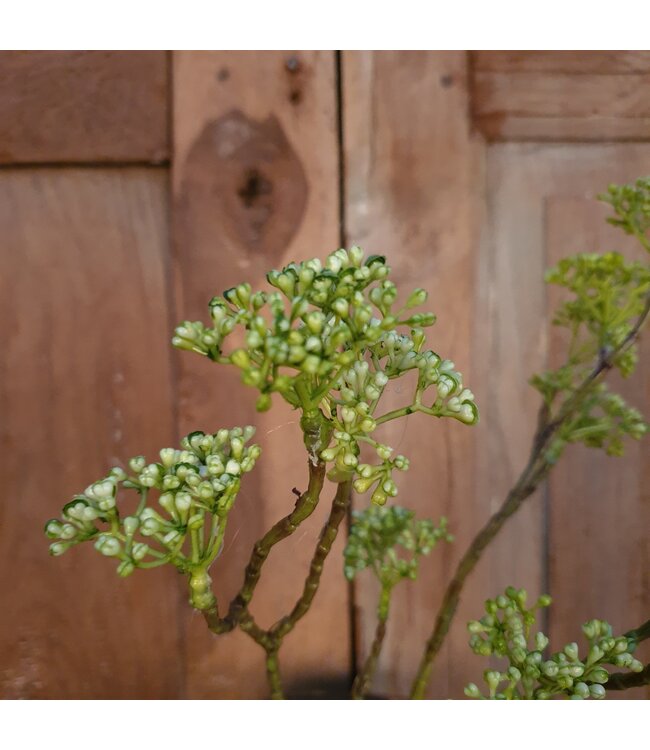 # E333 - berry spray/groen 70 cm