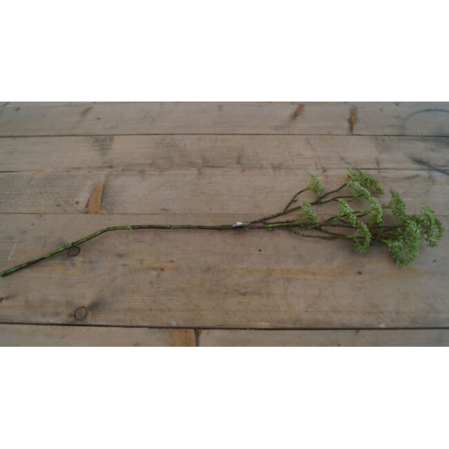 E333 - berry spray/groen 70 cm