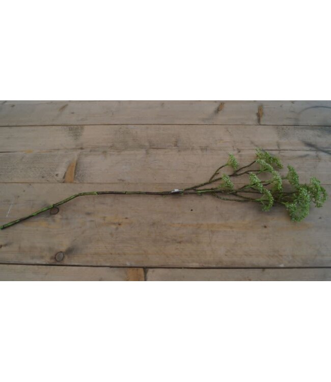# E333 - berry spray/groen 70 cm