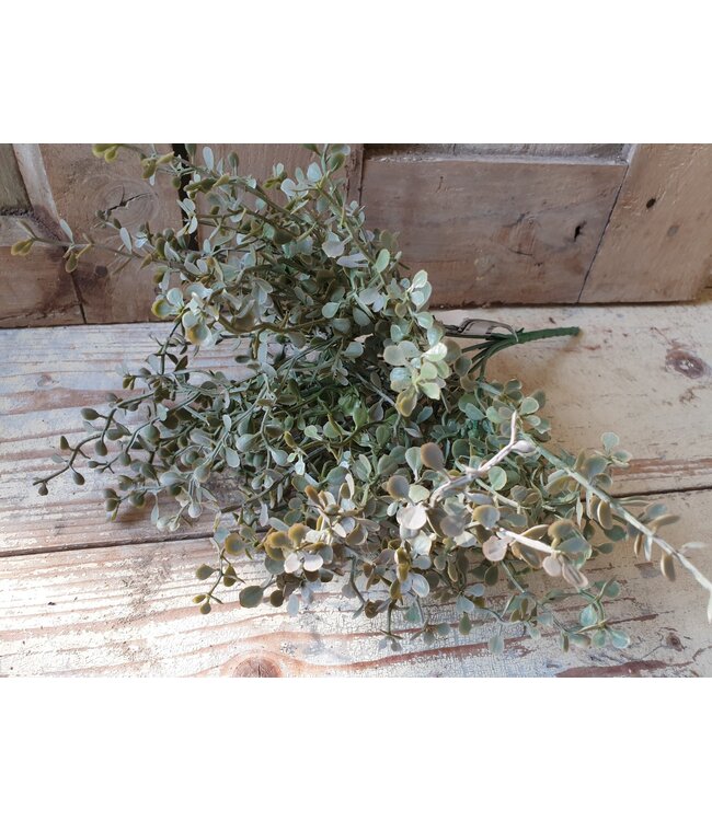# Tea Leaf Bush x6 - kunst