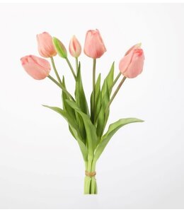 # Tulip Bush x7 41cm licht roze