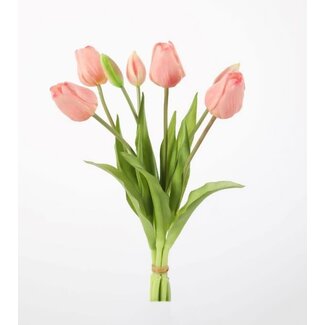 Tulip Bush x7 41cm licht roze