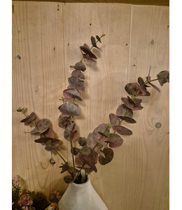Tak rode eucalyptus - 99 cm