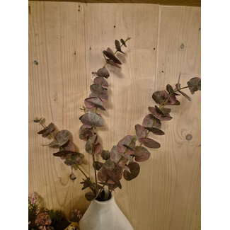Tak rode eucalyptus - 99 cm