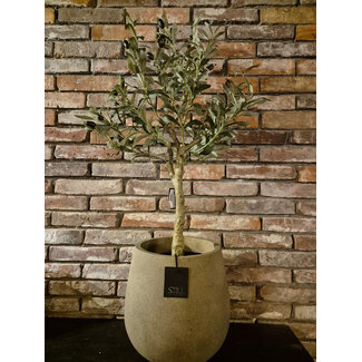 Still 25175 - Palm Pot S Latte - ca. 30 x 30 cm