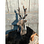 Countryfield wordt niet verzonden - Hert Zen M bruin-L17B11,5H30,5CM