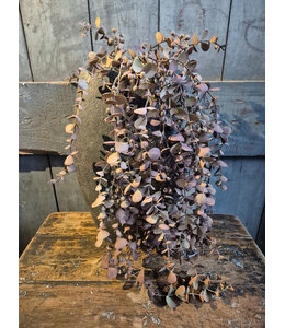 @ Kunsttak eucalyptus hangend mauve - 95x40x15cm