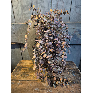 Kunsttak eucalyptus hangend mauve - 95x40x15cm