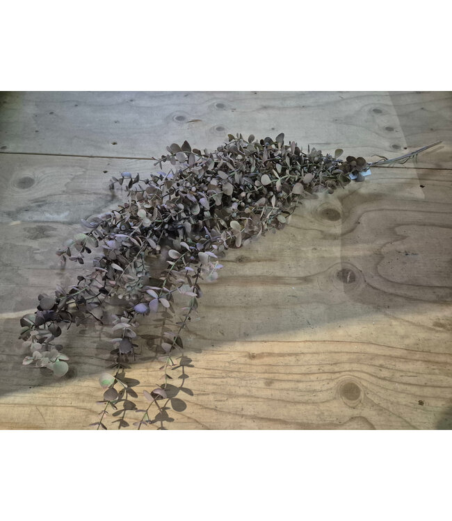 # Kunsttak eucalyptus hangend mauve - 95x40x15cm