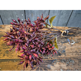 Countryfield Bundel Eucalyptus bordeaux-L13B13H32CM