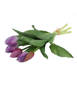 Countryfield # Boeket Tulp Tulipa 3D S paars/wit-L15B15H29CM