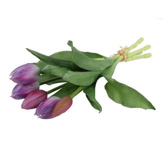Countryfield Boeket Tulp Tulipa 3D S paars/wit-L15B15H29CM