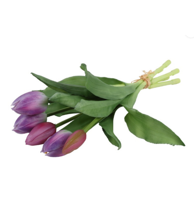 Countryfield # Boeket Tulp Tulipa 3D S paars/wit-L15B15H29CM