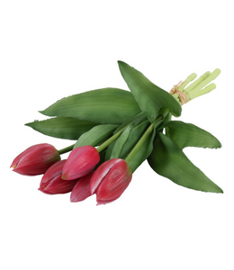Countryfield Boeket Tulp Tulipa 3D S roze/red-L15B15H29CM
