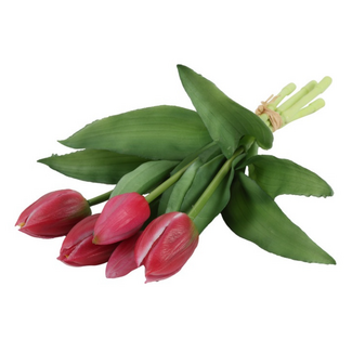 Countryfield Boeket Tulp Tulipa 3D S roze/red-L15B15H29CM