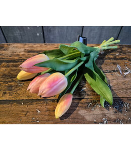 Countryfield Boeket Tulp Tulipa 3D S zalm-L15B15H29CM